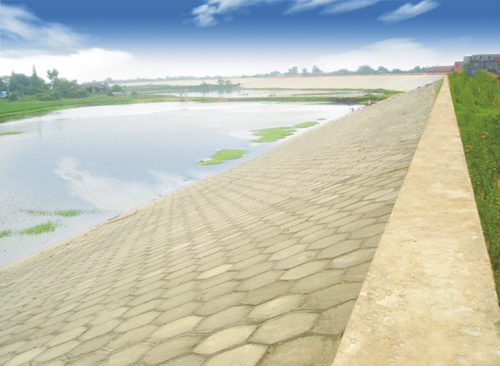 混凝土预造块护坡（药丰联圩2标）