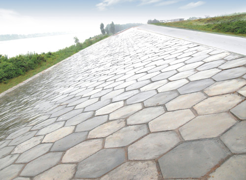 混凝土预造块护坡（镇桥联圩4标）