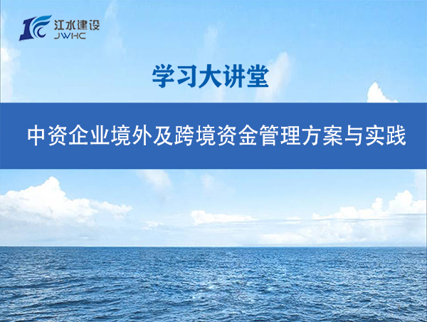 中资企业境表及跨境资金治理规划与实际